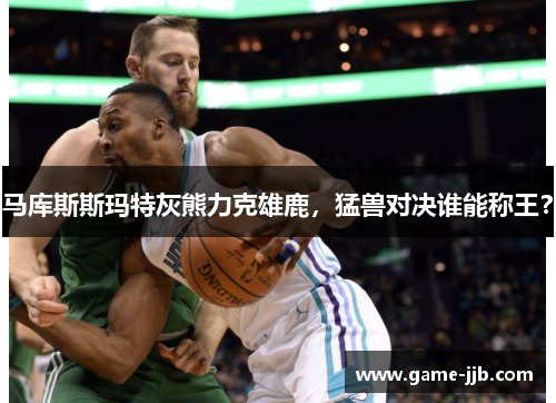 马库斯斯玛特灰熊力克雄鹿，猛兽对决谁能称王？