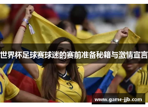世界杯足球赛球迷的赛前准备秘籍与激情宣言
